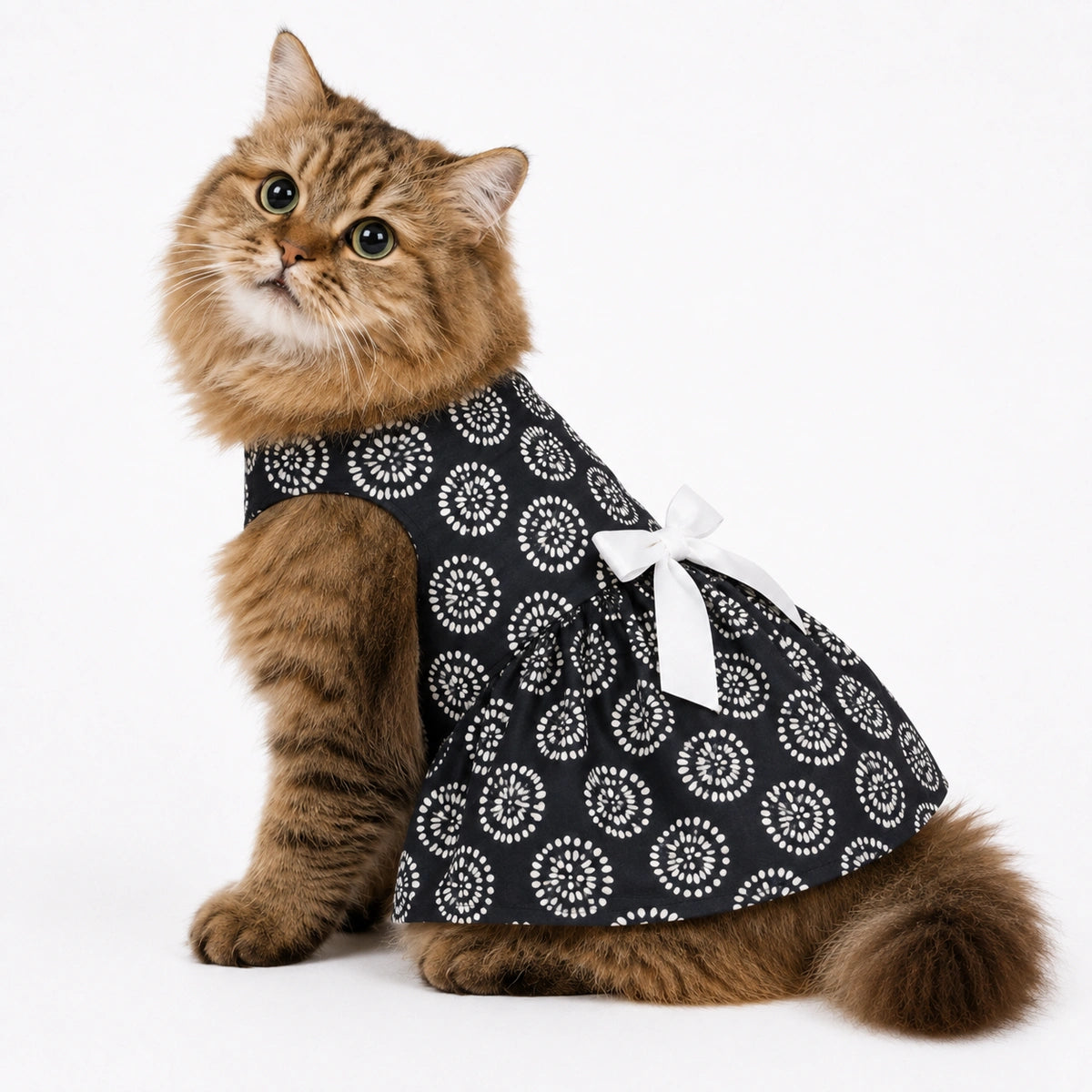 Thunder Tails Cat Frock - Black