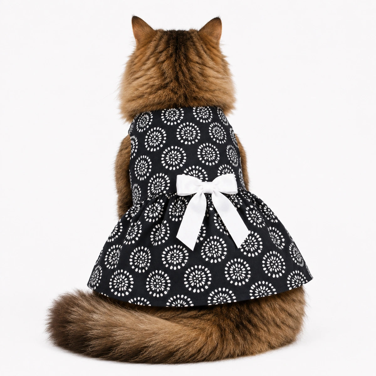 Thunder Tails Cat Frock - Black