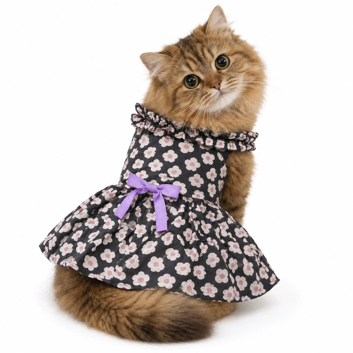 Thunder Tails Black Floral Frock