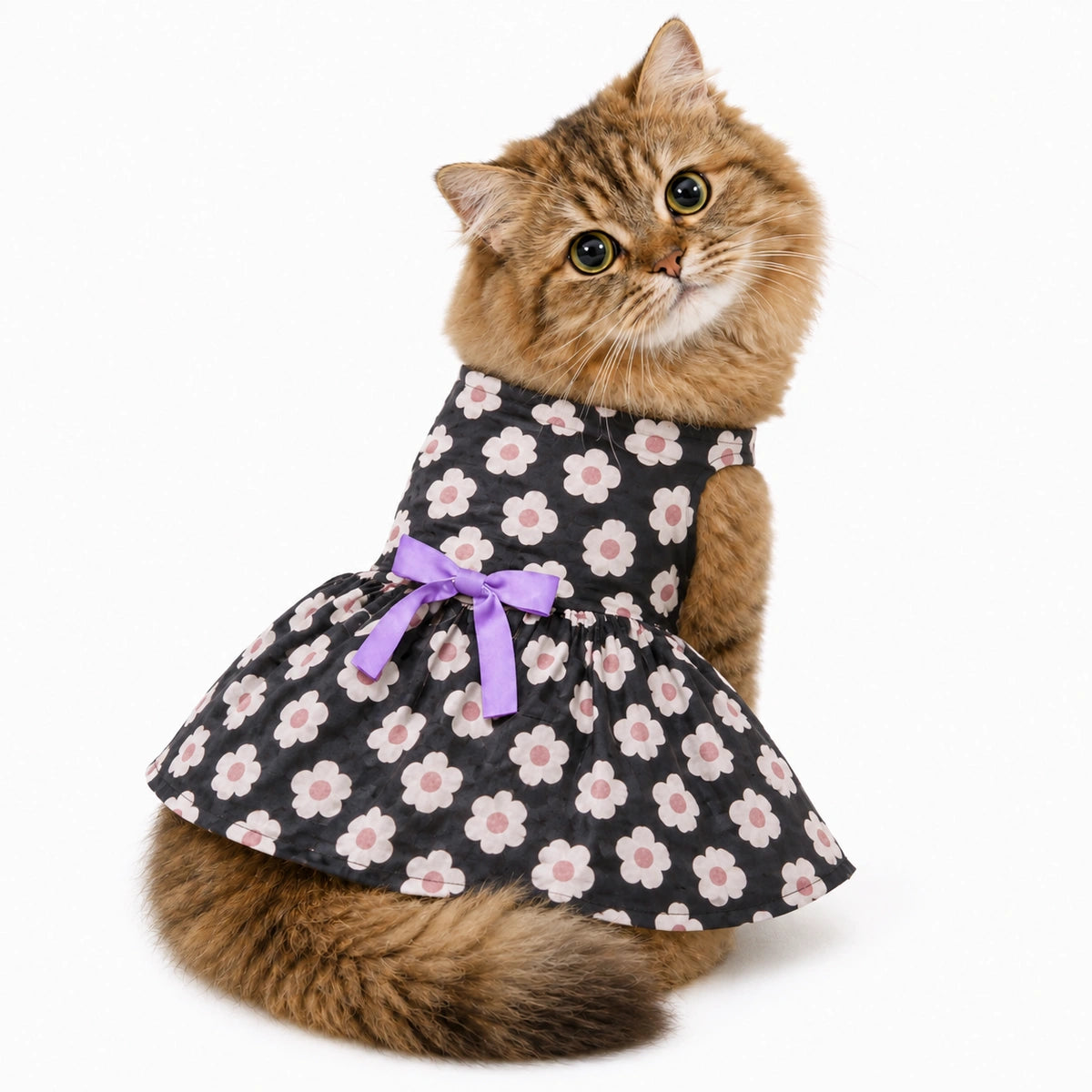 Thunder Tails Black Floral Frock