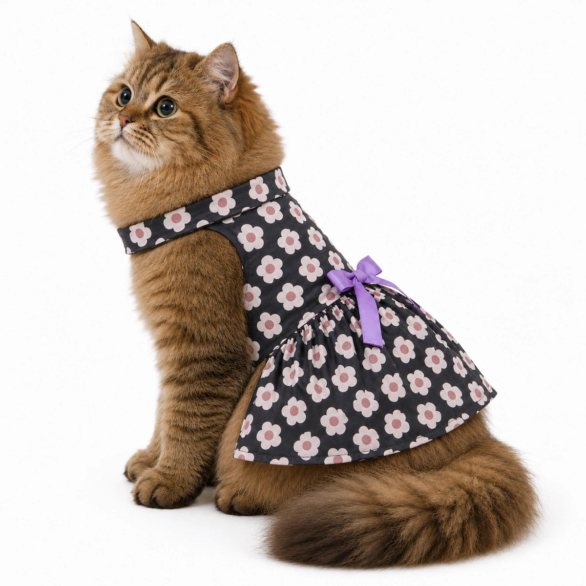 Thunder Tails Black Floral Frock