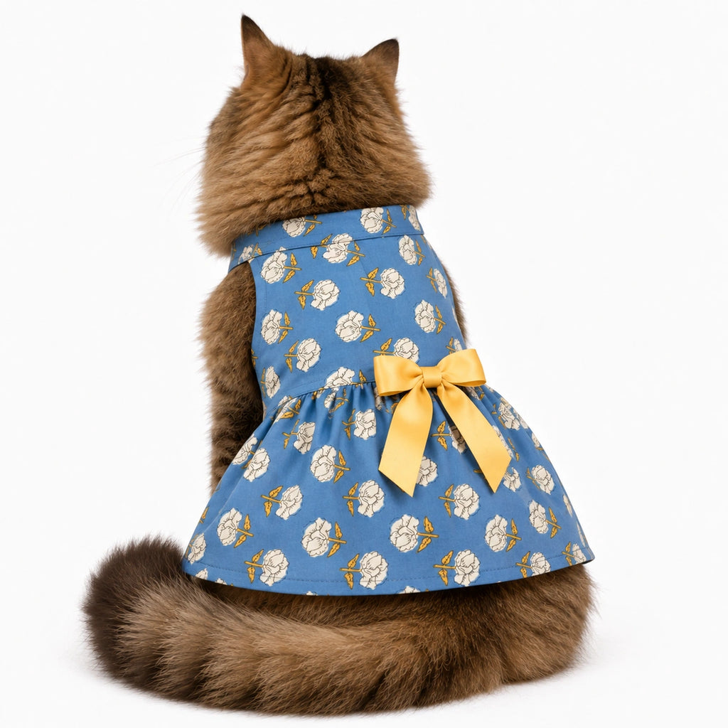 Thunder Tails Cat Frock - Light Blue