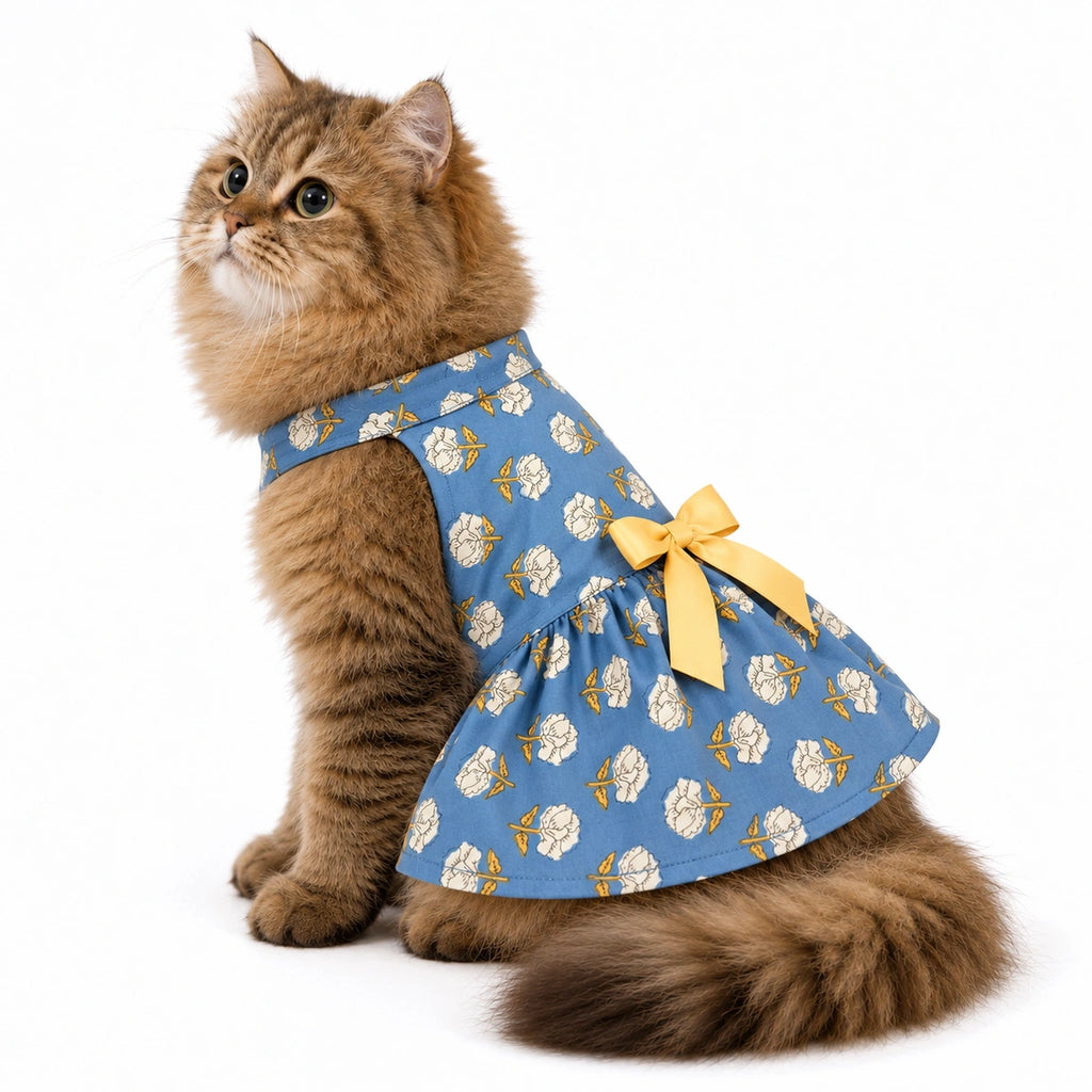 Thunder Tails Cat Frock - Light Blue