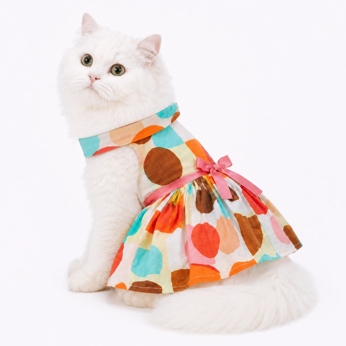 Thunder Tails Multicolor Frock