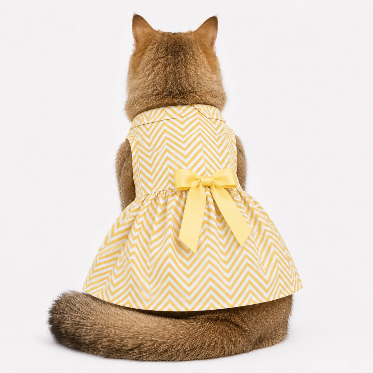 Thunder Tails Cat Frock - Yellow