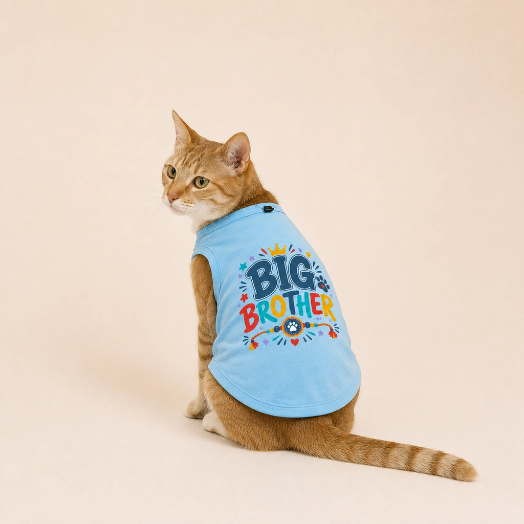 Thunder Tails Big Brother Tshirt