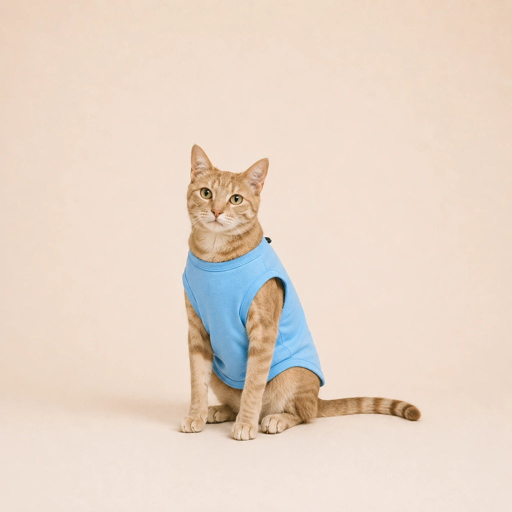 Thunder Tails Big Brother Tshirt