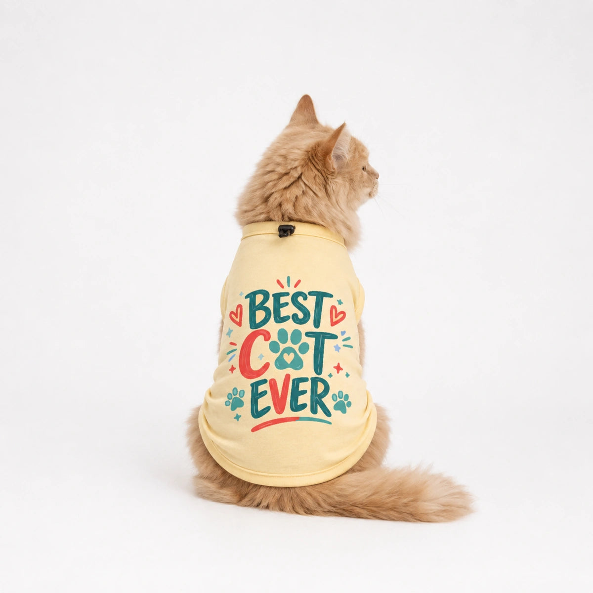 Thunder Tails Best Cat Ever T-shirt