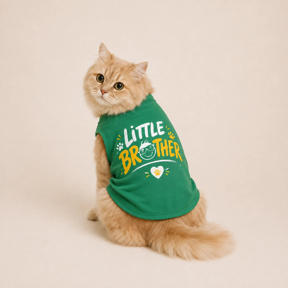Thunder Tails Little Brother Tshirt