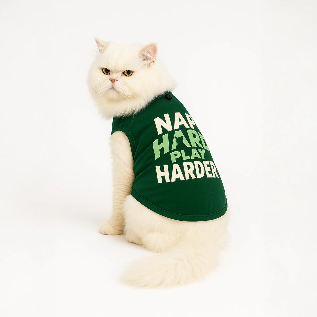 Thunder Tails Nap Hard Play Harder T-shirt