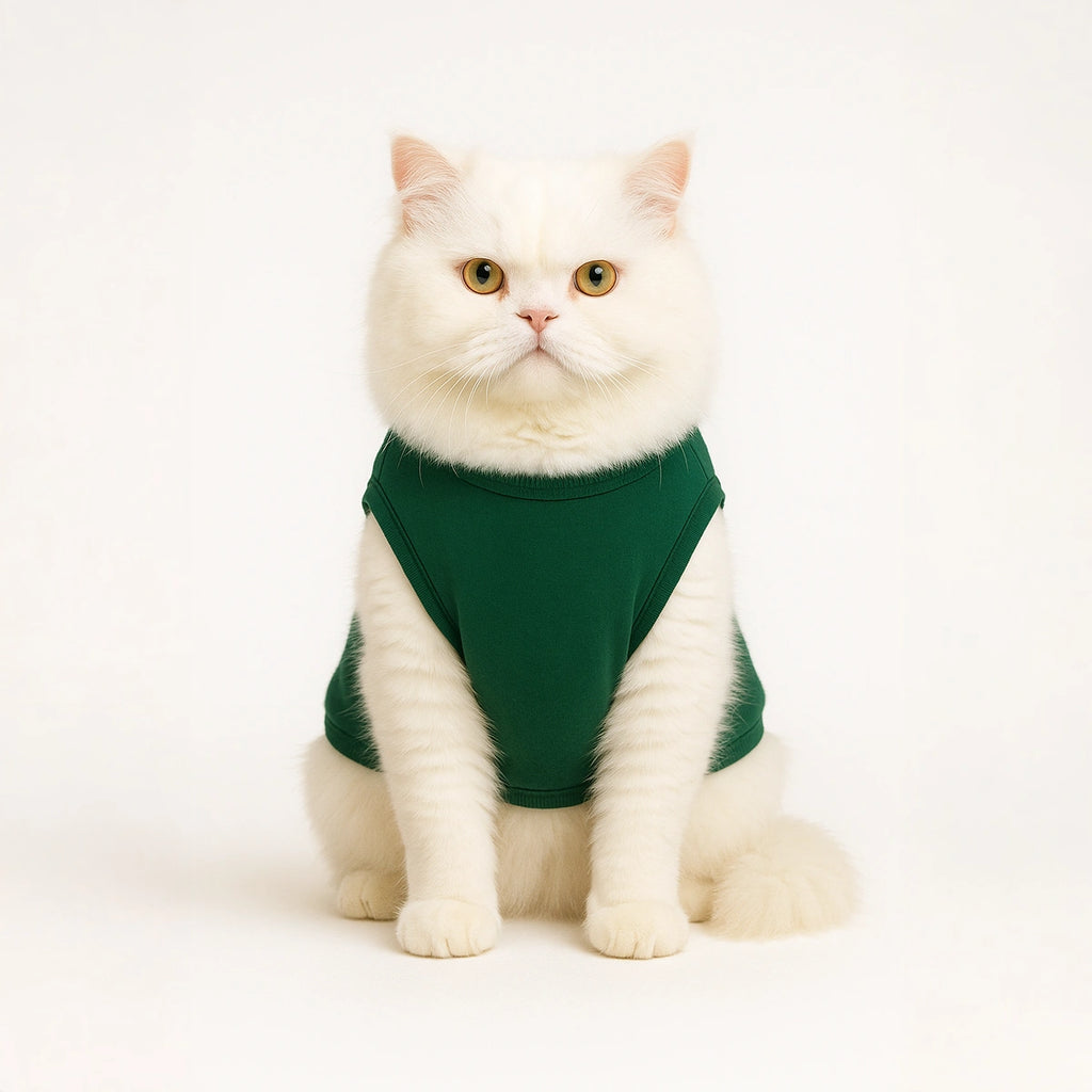 Thunder Tails Nap Hard Play Harder T-shirt