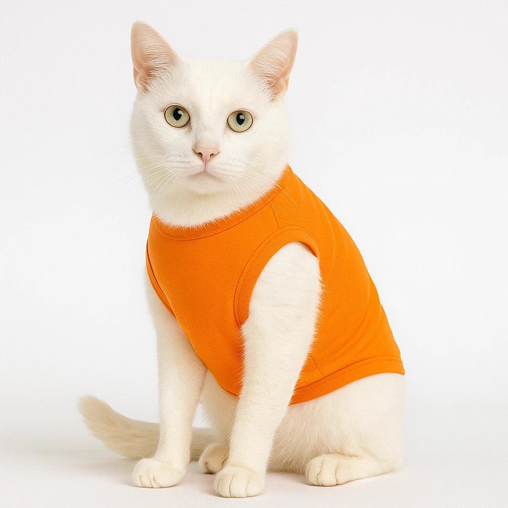 Thunder Tails Snacks or Nothing T-shirt