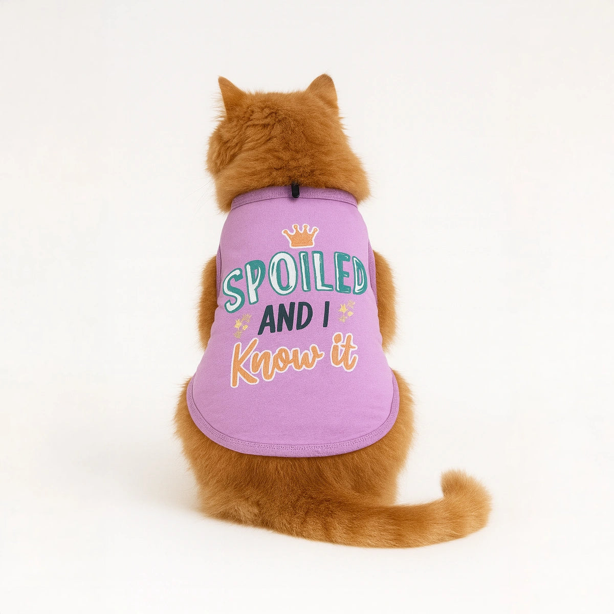 Thunder Tails Spoiled & I Know It T-shirt