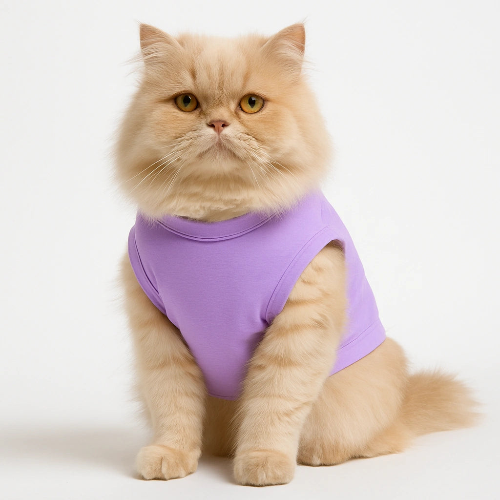 Thunder Tails Spoiled & I Know It T-shirt