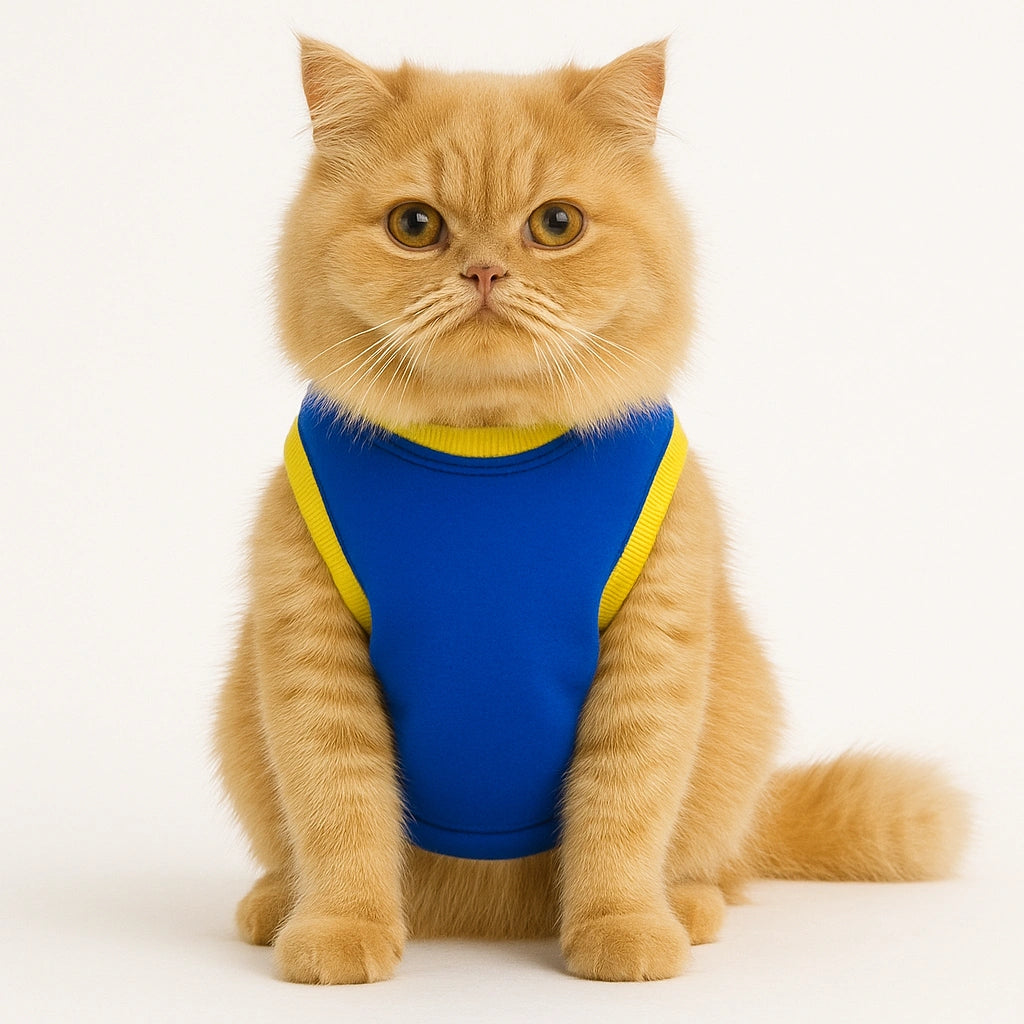 Thunder Tails Star of the Show T-shirt