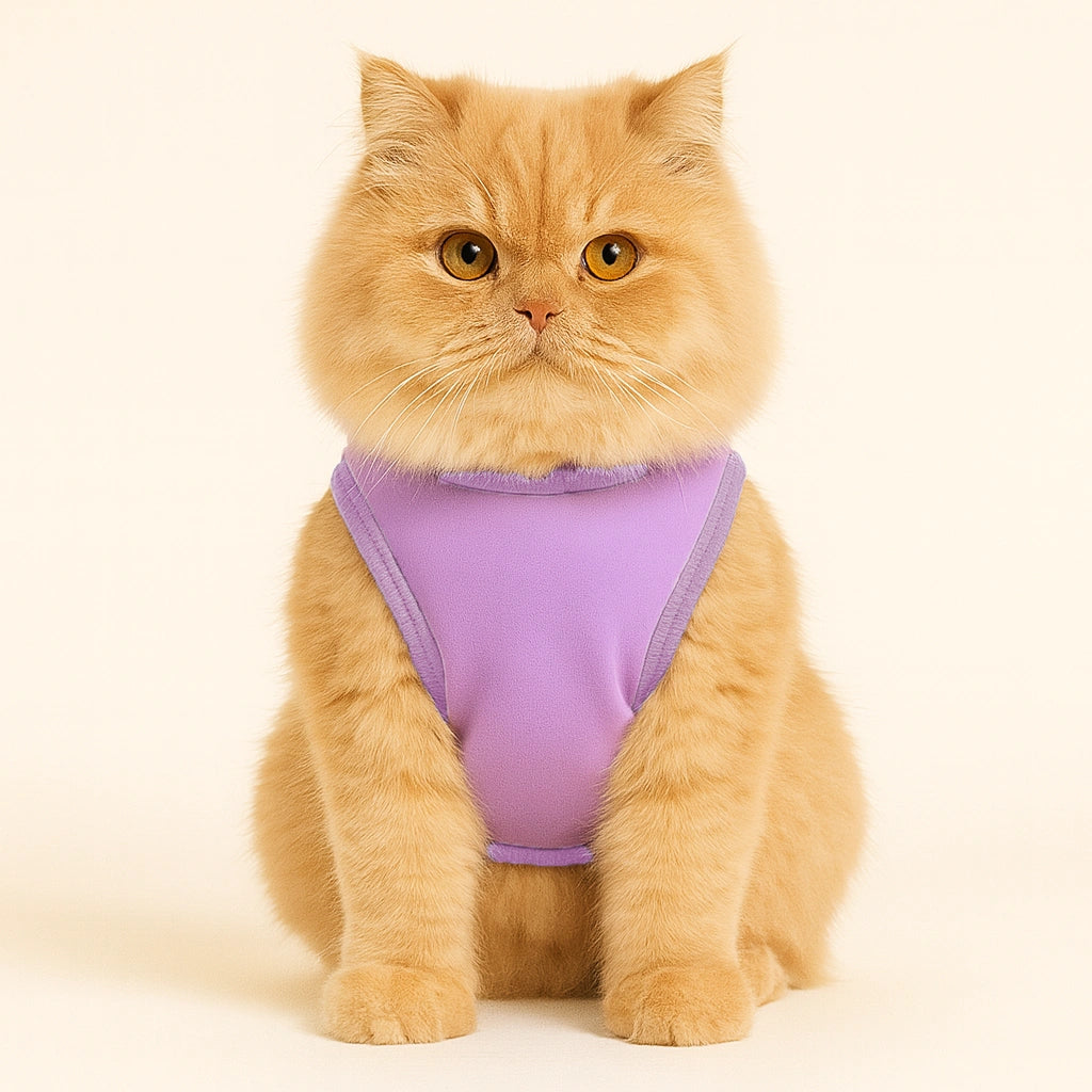 Thunder Tails Zero Chill 100% Cute T-shirt