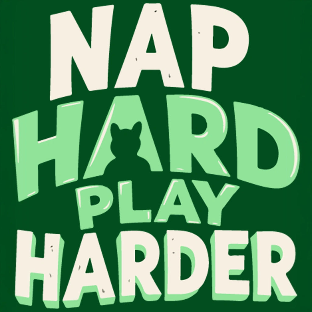 Thunder Tails Nap Hard Play Harder T-shirt