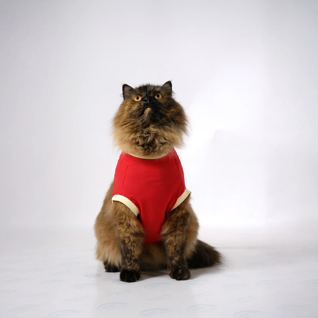 Thunder Tails Cattuccino Time T-shirt