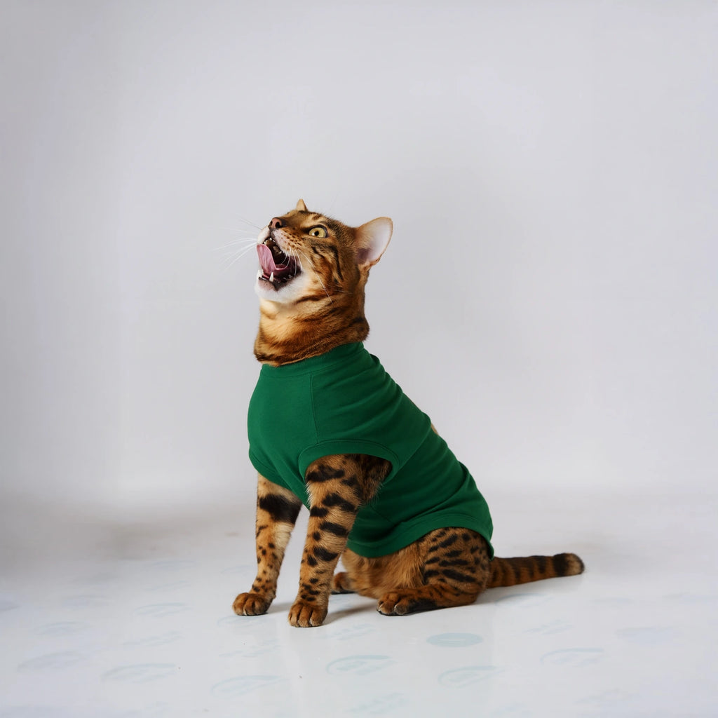 Thunder Tails Explorer of the Unknown T-shirt