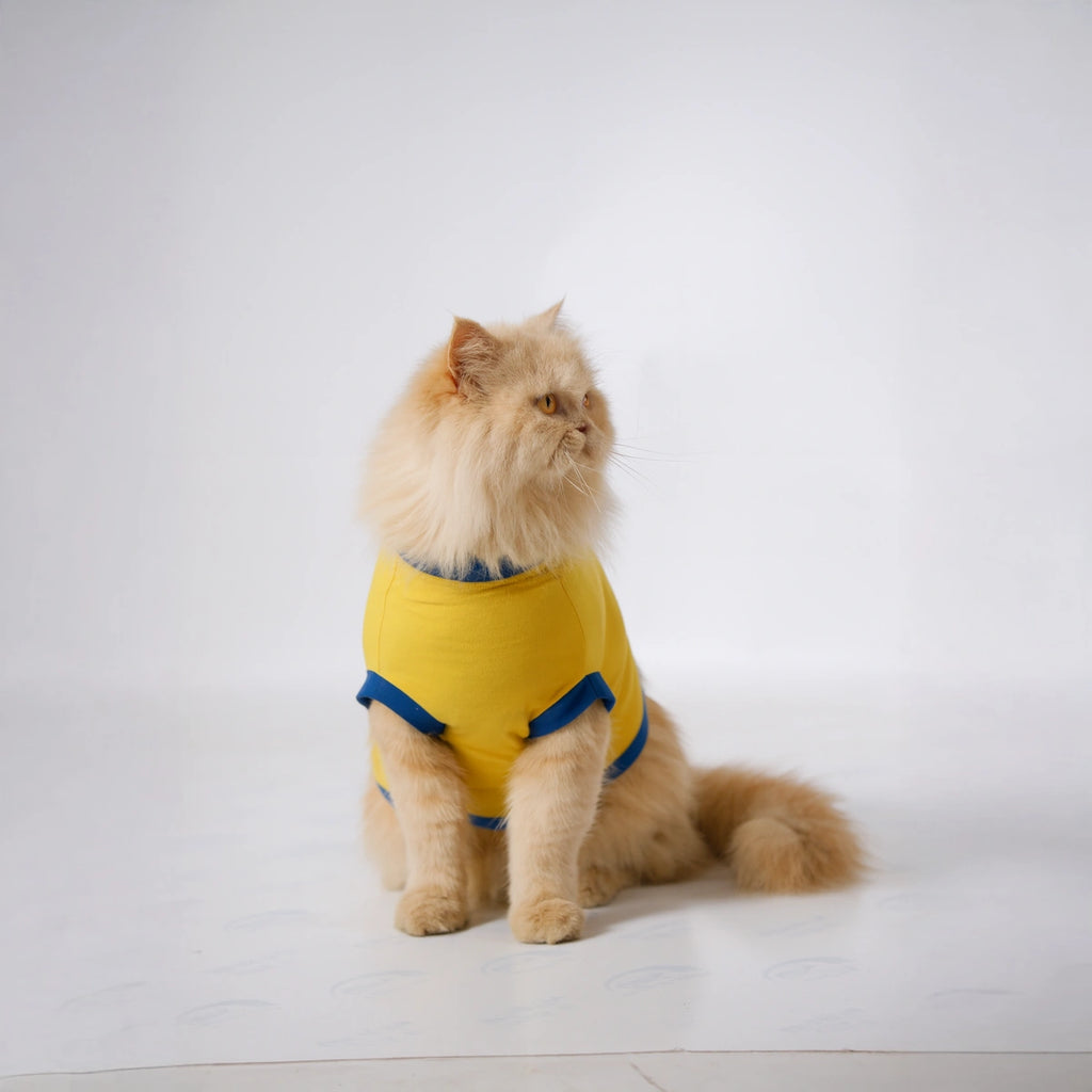 Thunder Tails Purrfectly Chaotic T-shirt