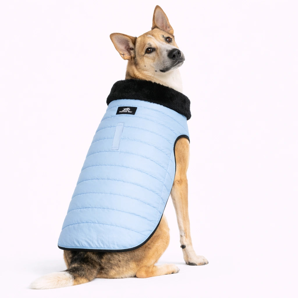 Thunder Tails CozyPup Jacket-Baby Blue
