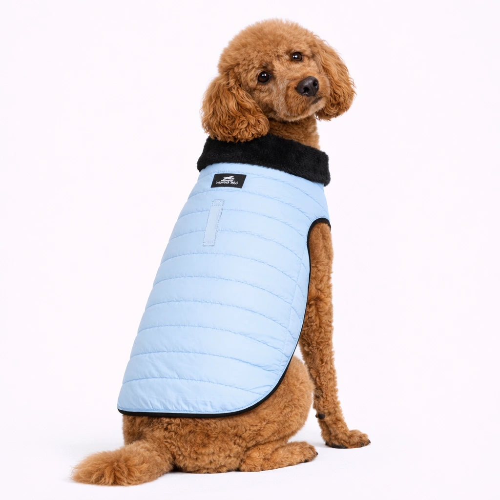 Thunder Tails CozyPup Jacket-Baby Blue