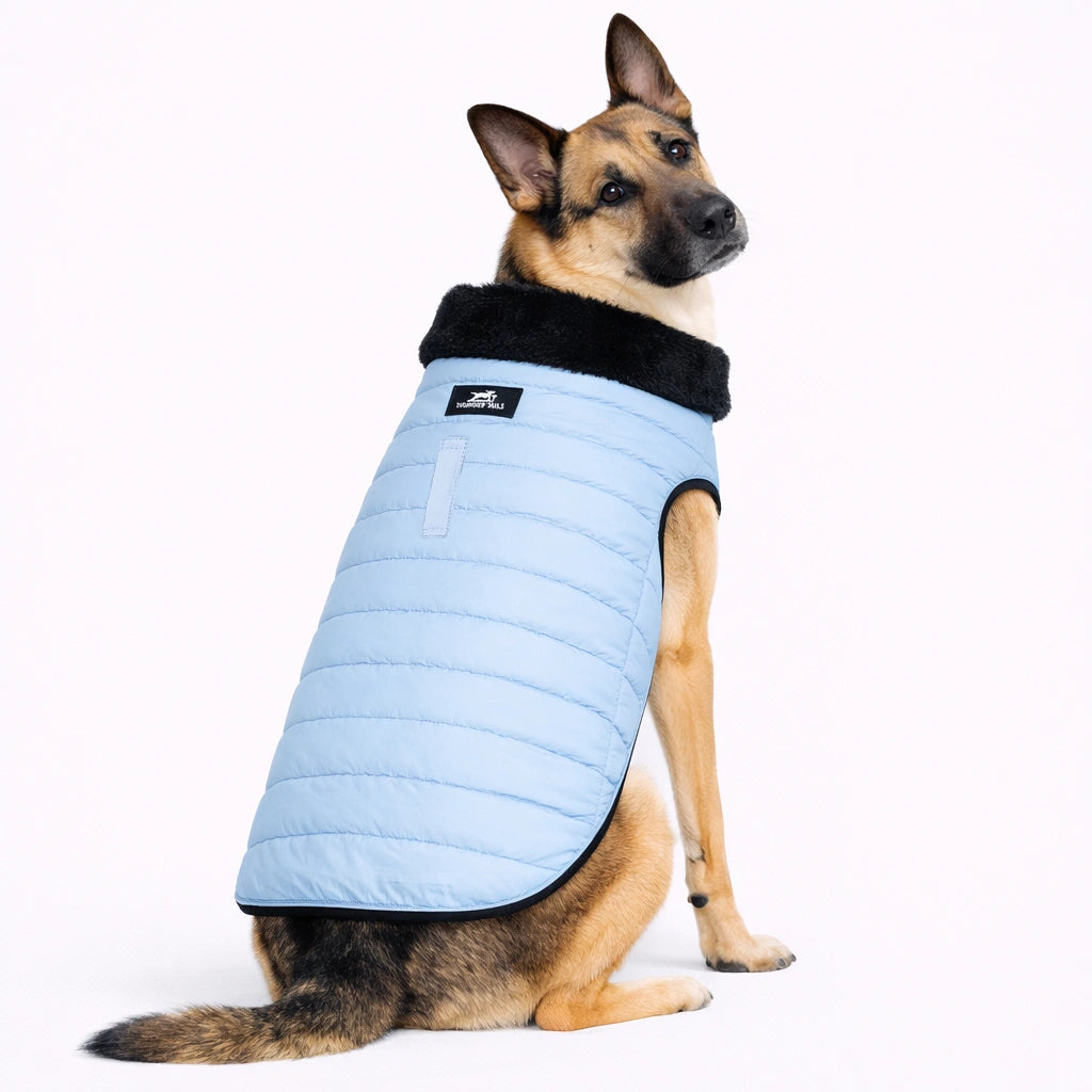 Thunder Tails CozyPup Jacket-Baby Blue