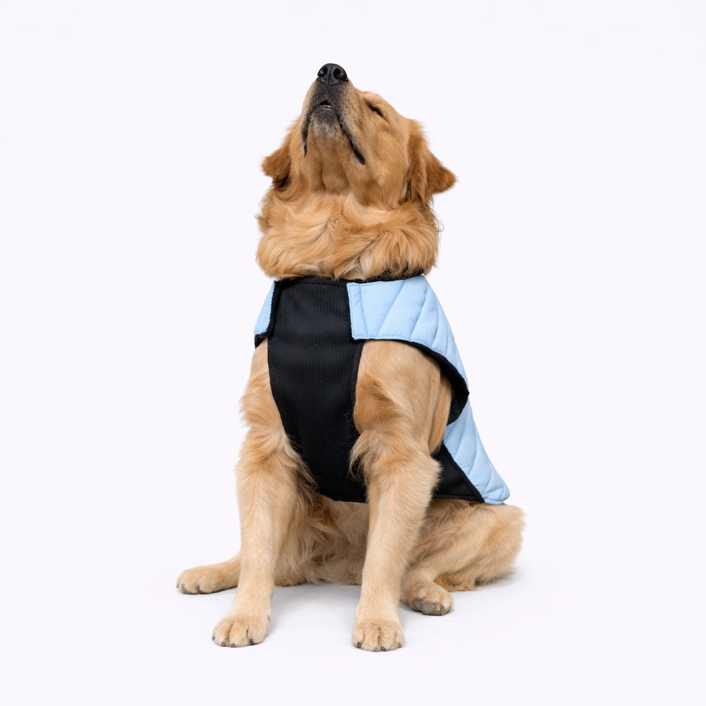 Thunder Tails CozyPup Jacket-Baby Blue