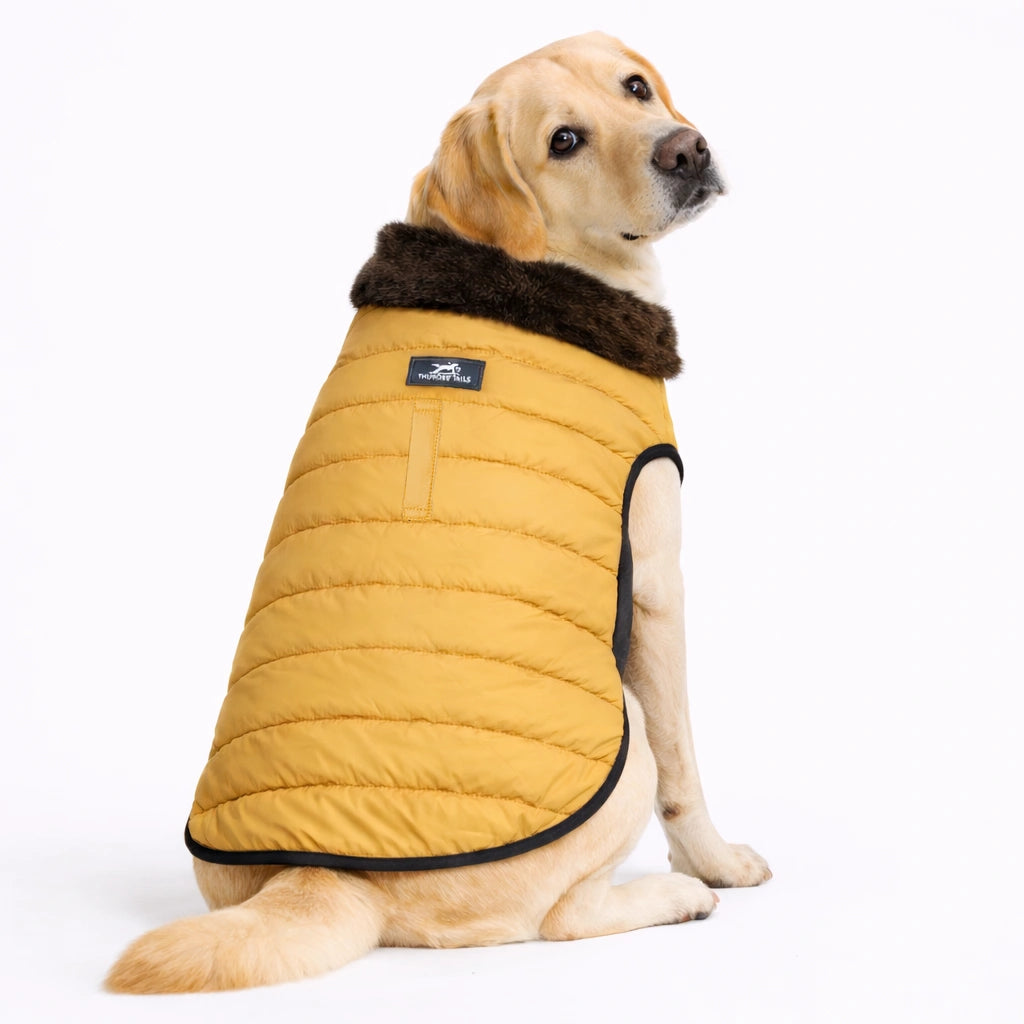 Thunder Tails CozyPup Jacket- Mustard