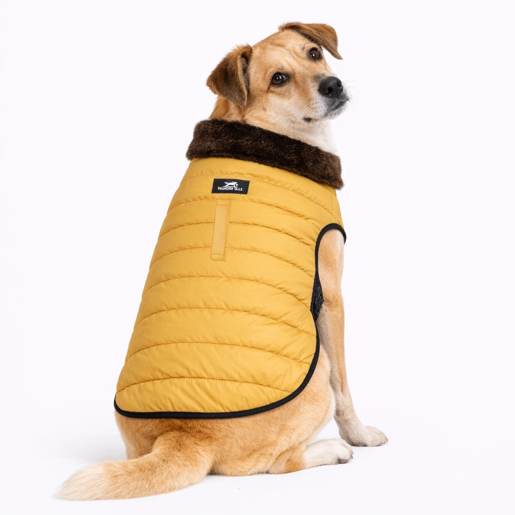 Thunder Tails CozyPup Jacket- Mustard
