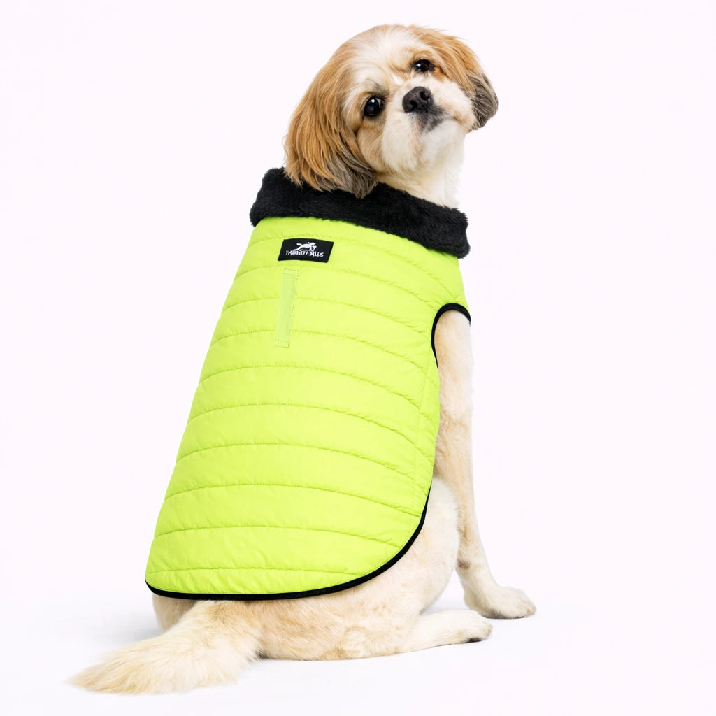 Thunder Tails CozyPup Jacket- Neon