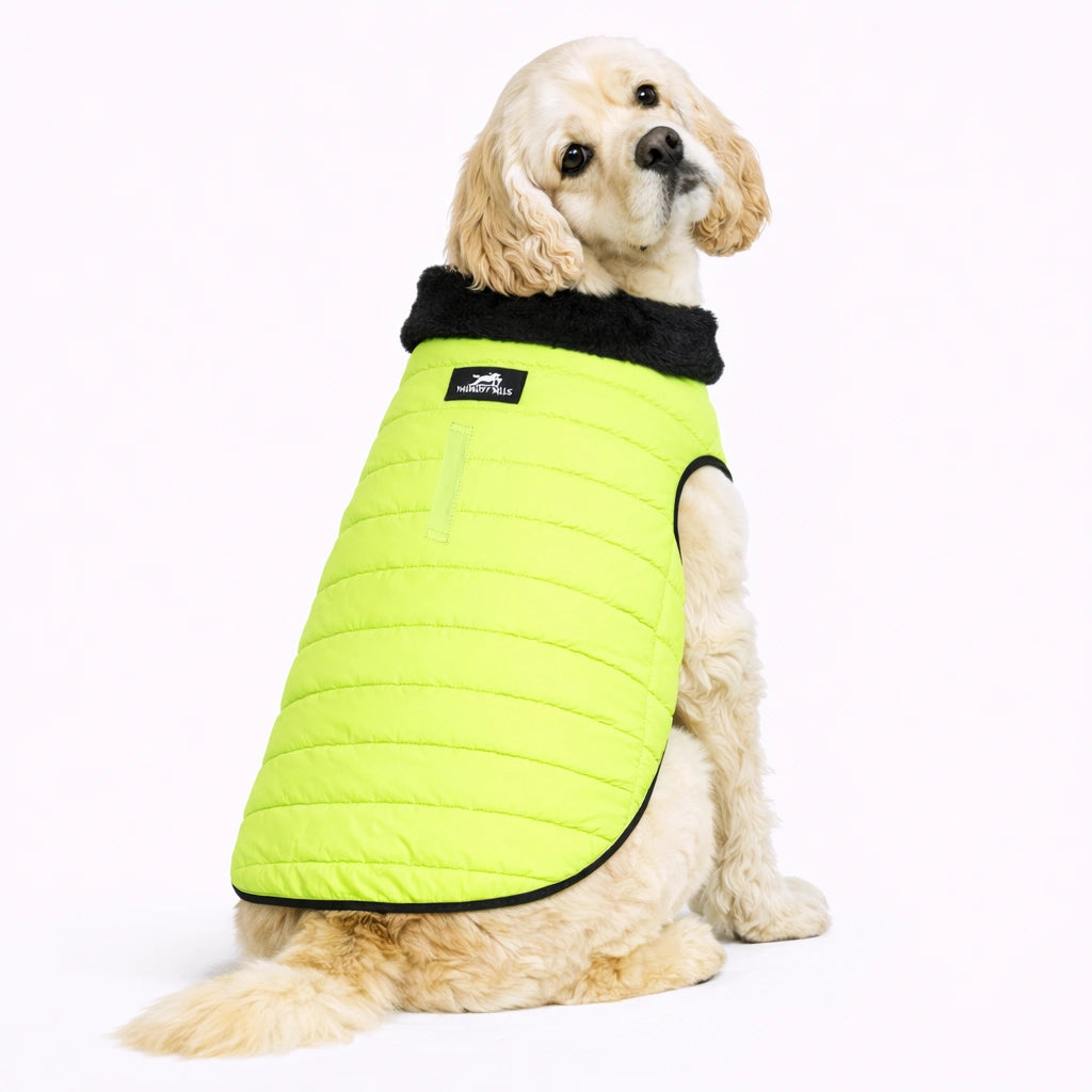 Thunder Tails CozyPup Jacket- Neon