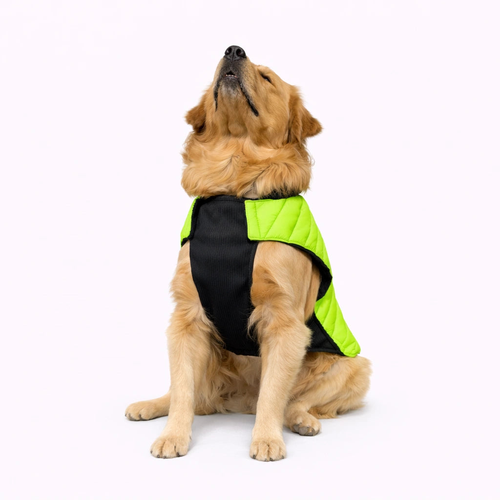 Thunder Tails CozyPup Jacket- Neon
