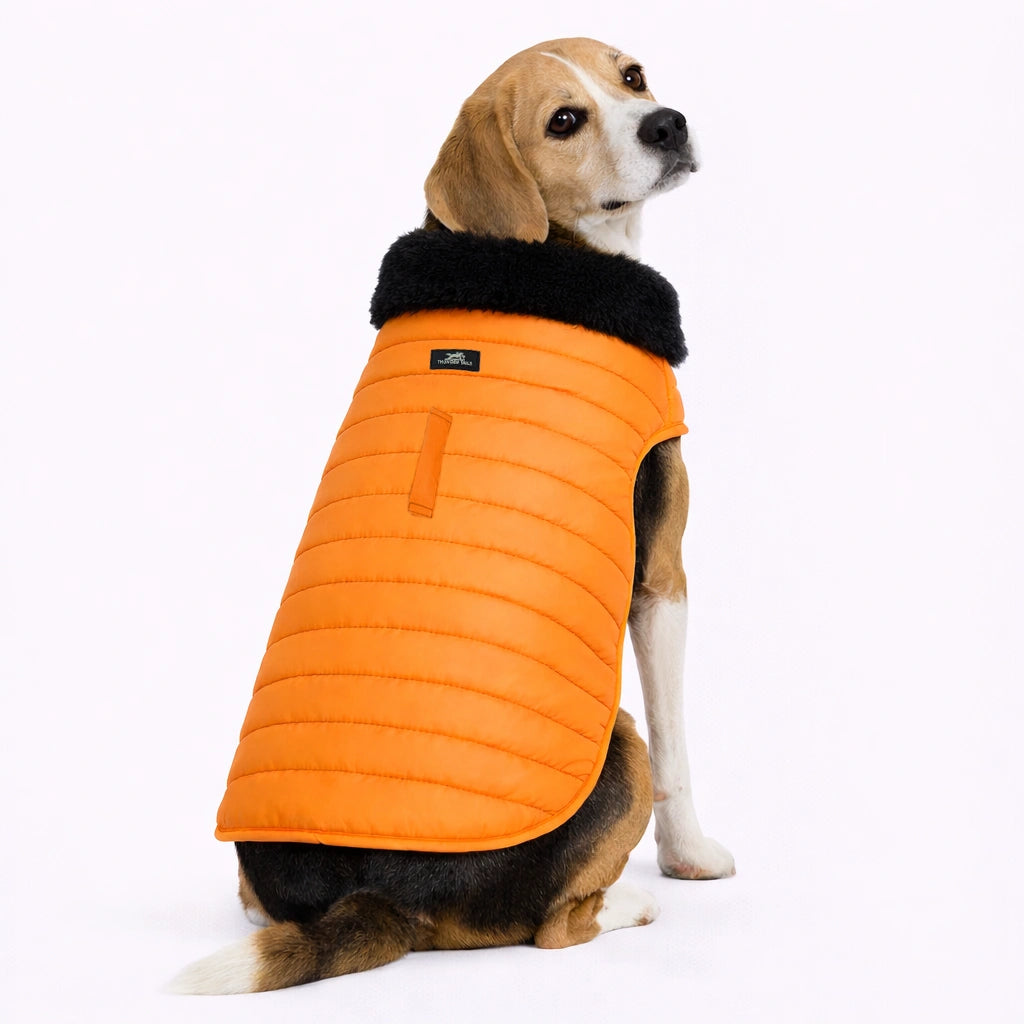 Thunder Tails CozyPup Jacket- Orange