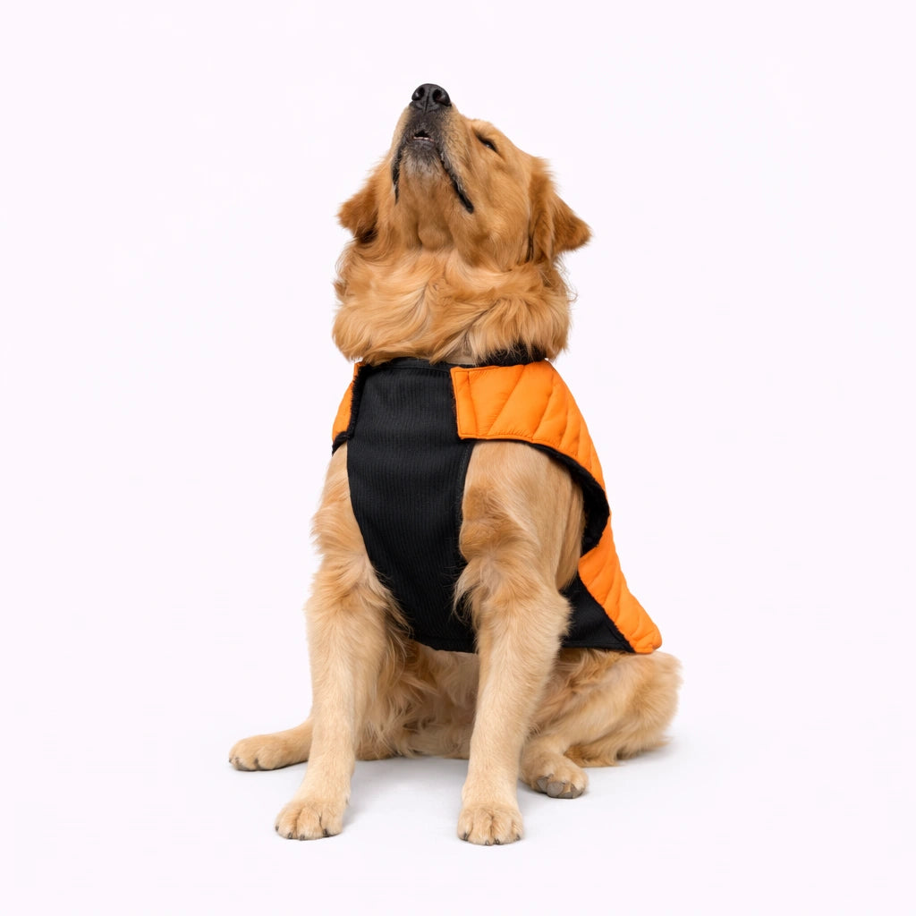 Thunder Tails CozyPup Jacket- Orange
