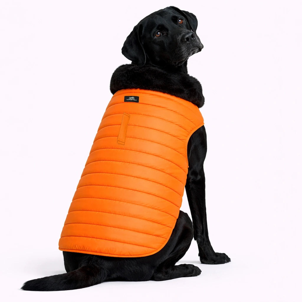 Thunder Tails CozyPup Jacket- Orange