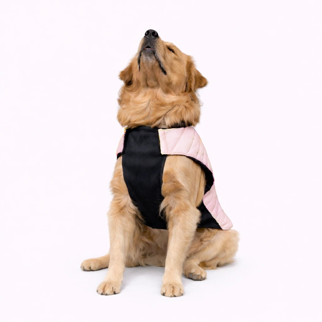 Thunder Tails CozyPup Jacket- Pink