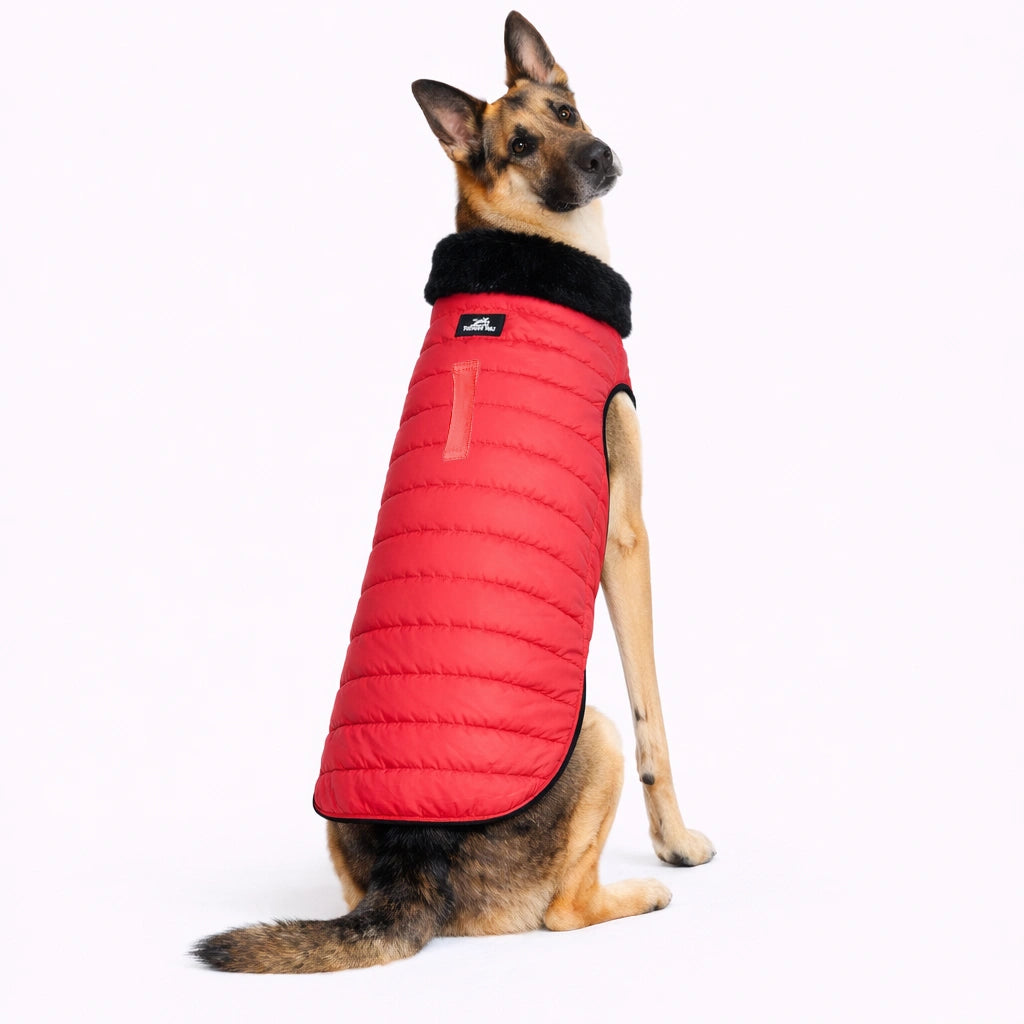 Thunder Tails CozyPup Jacket- Red