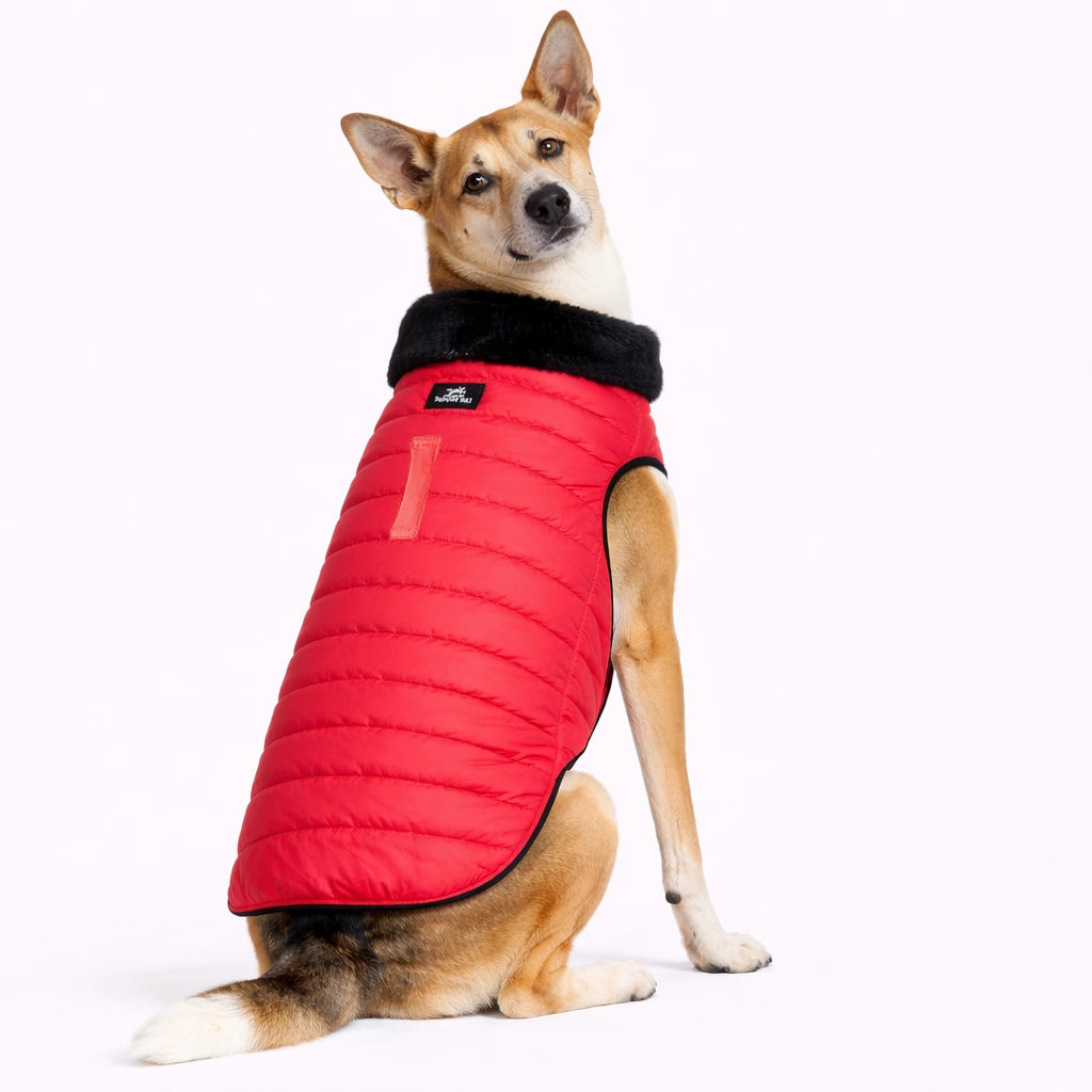 Thunder Tails CozyPup Jacket- Red