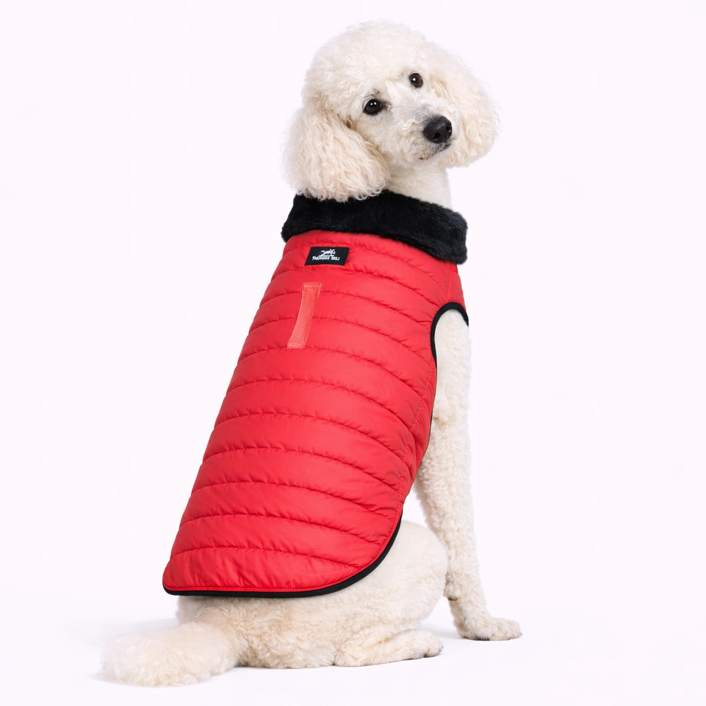 Thunder Tails CozyPup Jacket- Red