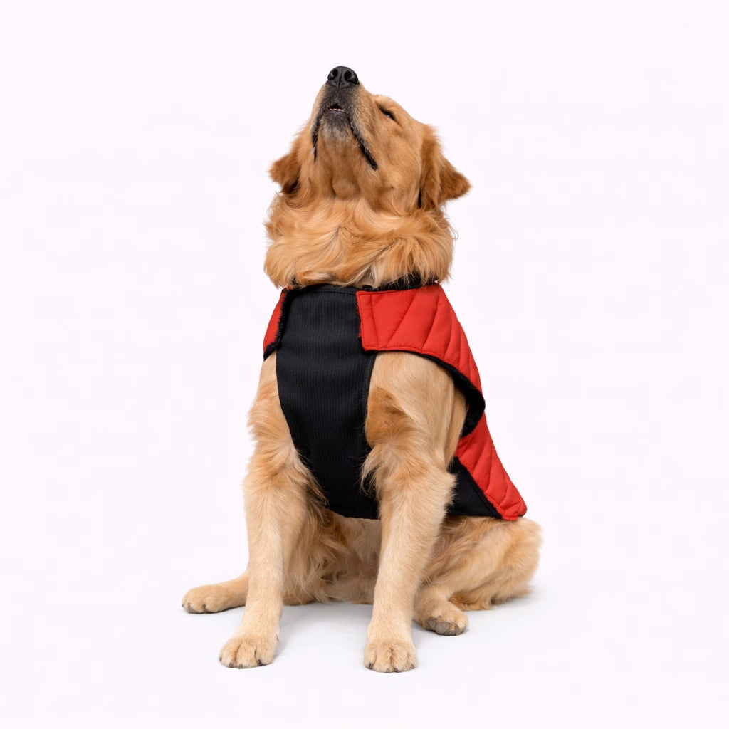 Thunder Tails CozyPup Jacket- Red