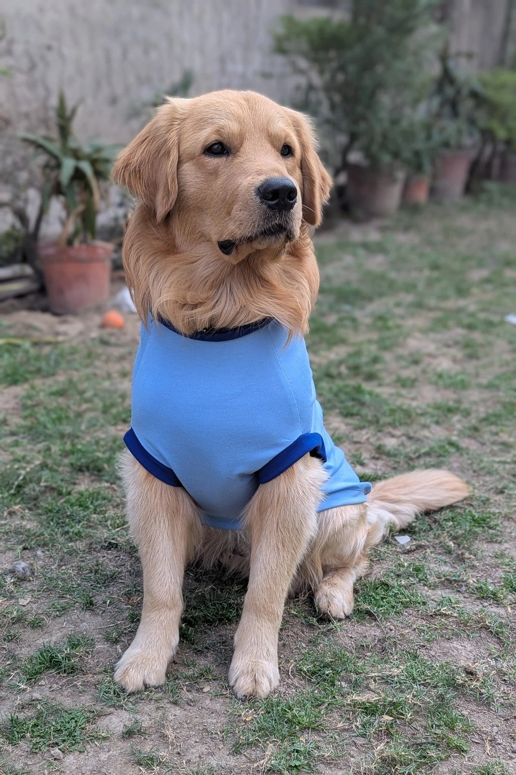 Thunder Tails Daddy's Lil' Boy Adjustable Graphic T-shirt