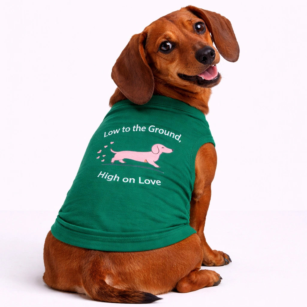 Thunder Tails DASCHUND Adjustable Graphic T-shirt