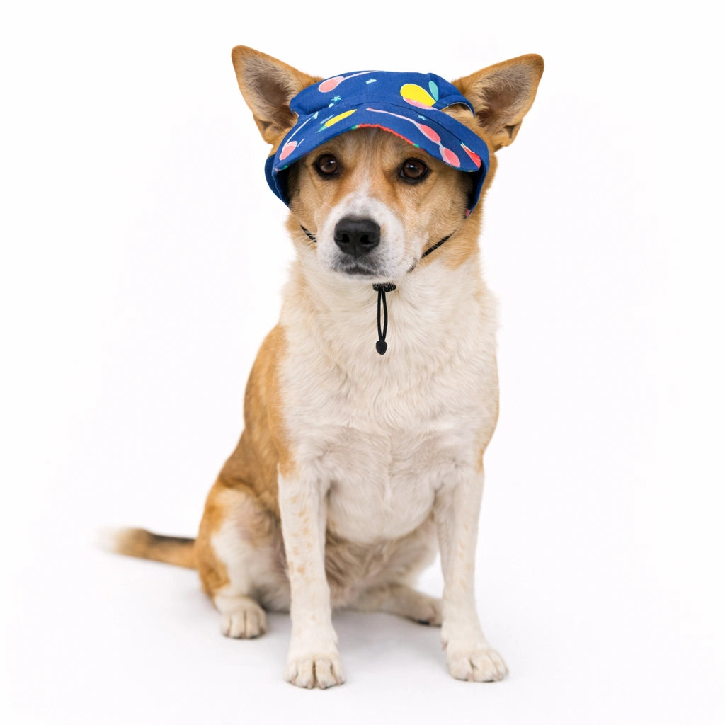 Thunder Tails Blue Ice cream Cap