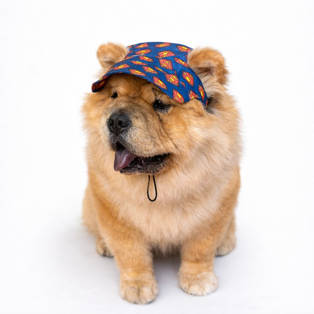 Thunder Tails Superman Cap
