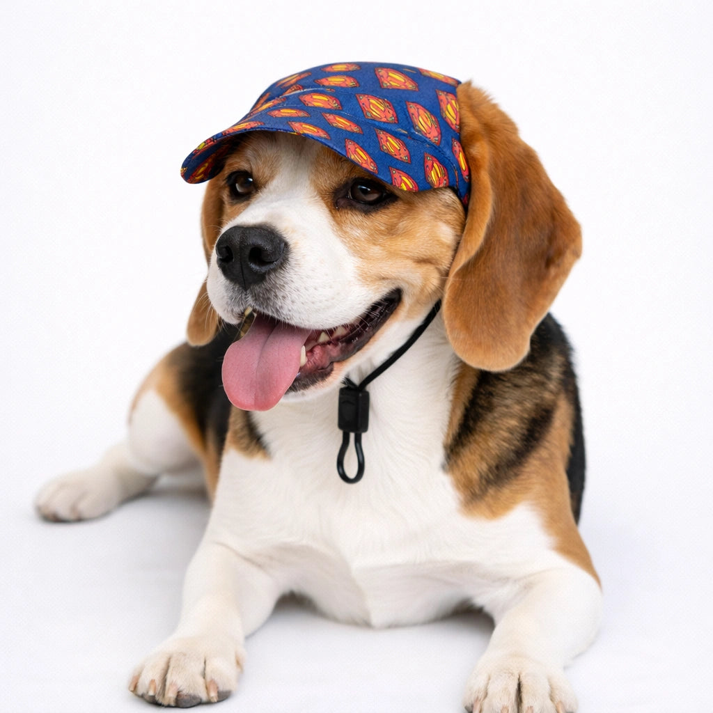 Thunder Tails Superman Cap