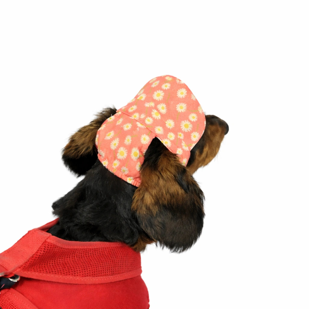 Thunder Tails Peach Floral Cap