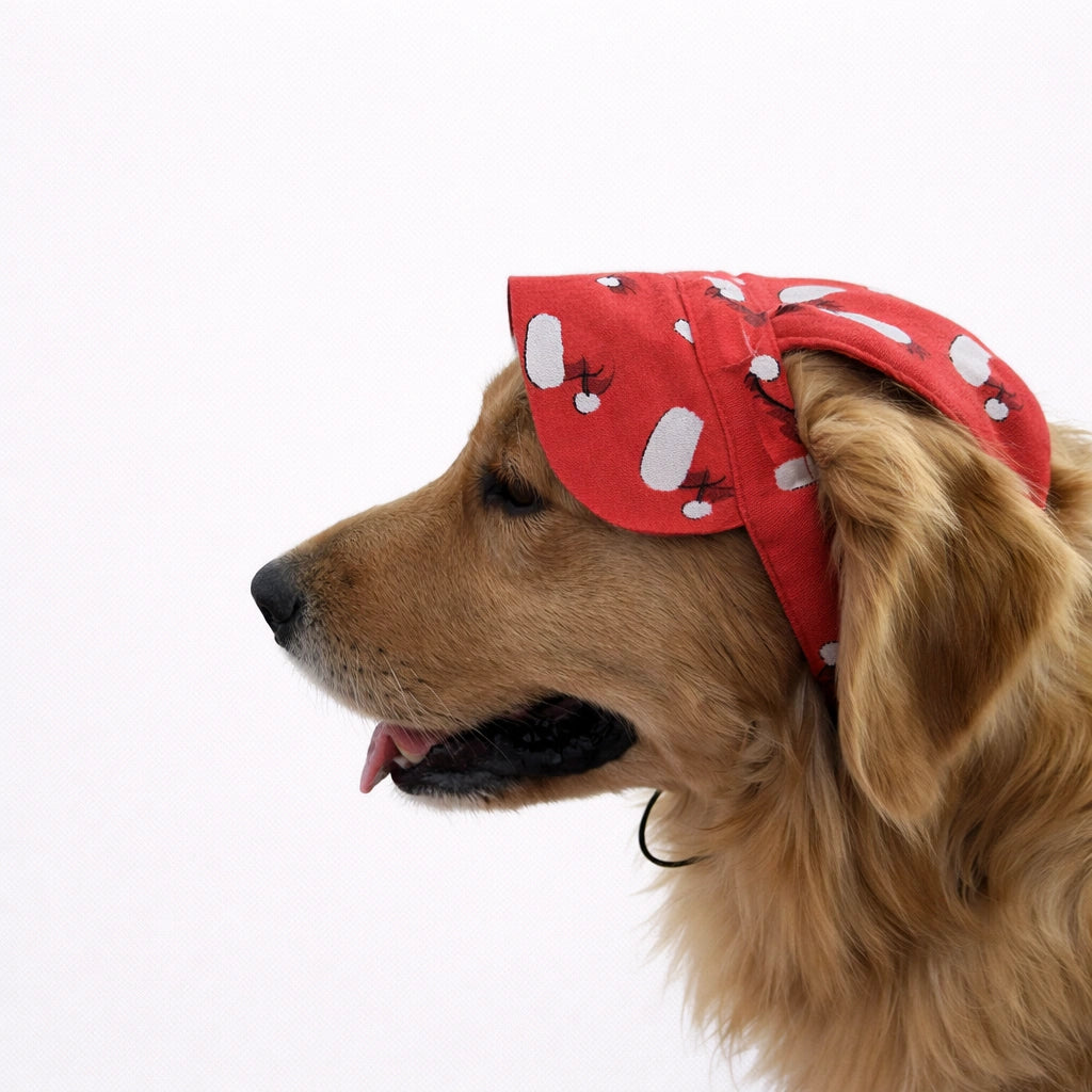 Thunder Tails Santa Cap