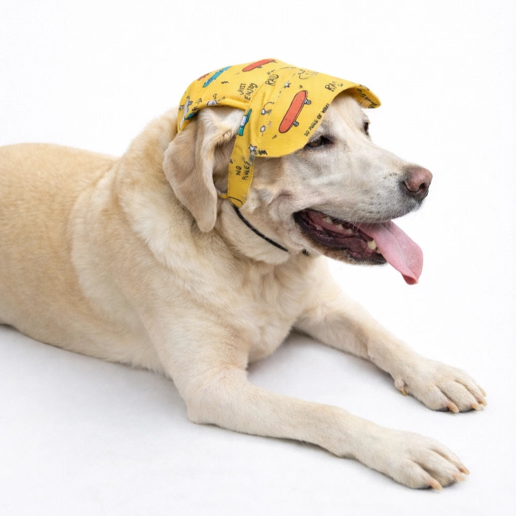 Thunder Tails Doodle Cap