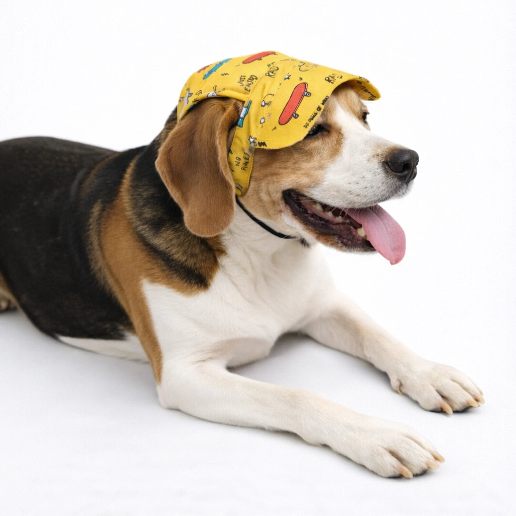 Thunder Tails Doodle Cap